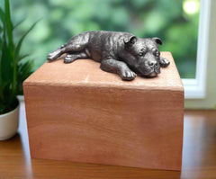 Staffordshire Bull Terrier Wooden Cremation Urn For Ashes In Bronze or Pewter effect