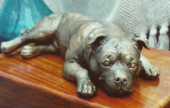 Staffordshire Bull Terrier Wooden Cremation Urn For Ashes In Bronze or Pewter effect